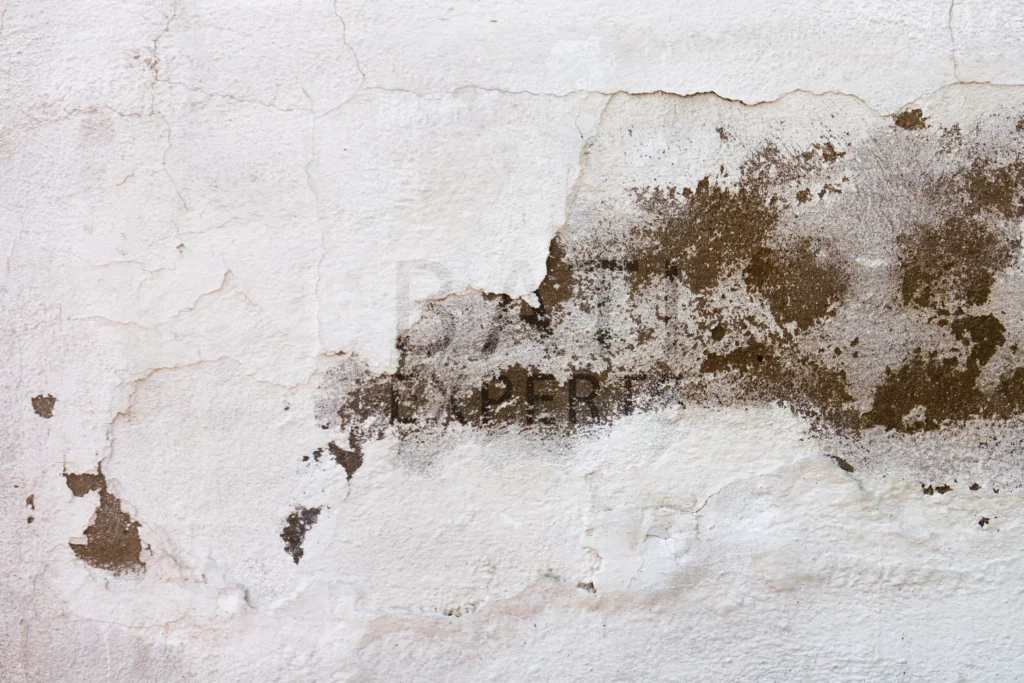 infiltrations d'eau sur un mur